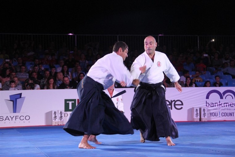Martial Arts Festival